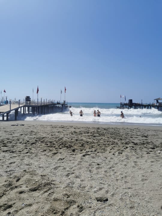 Strand Dizalya Palm Garden