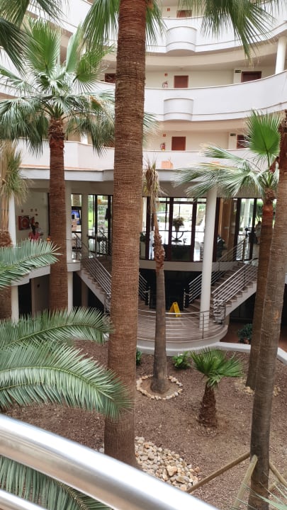 Sonstiges allsun App.-Hotel Orient Beach