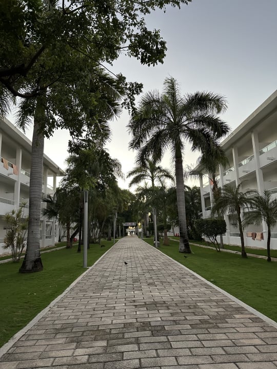 Gartenanlage Hotel Riu Playacar