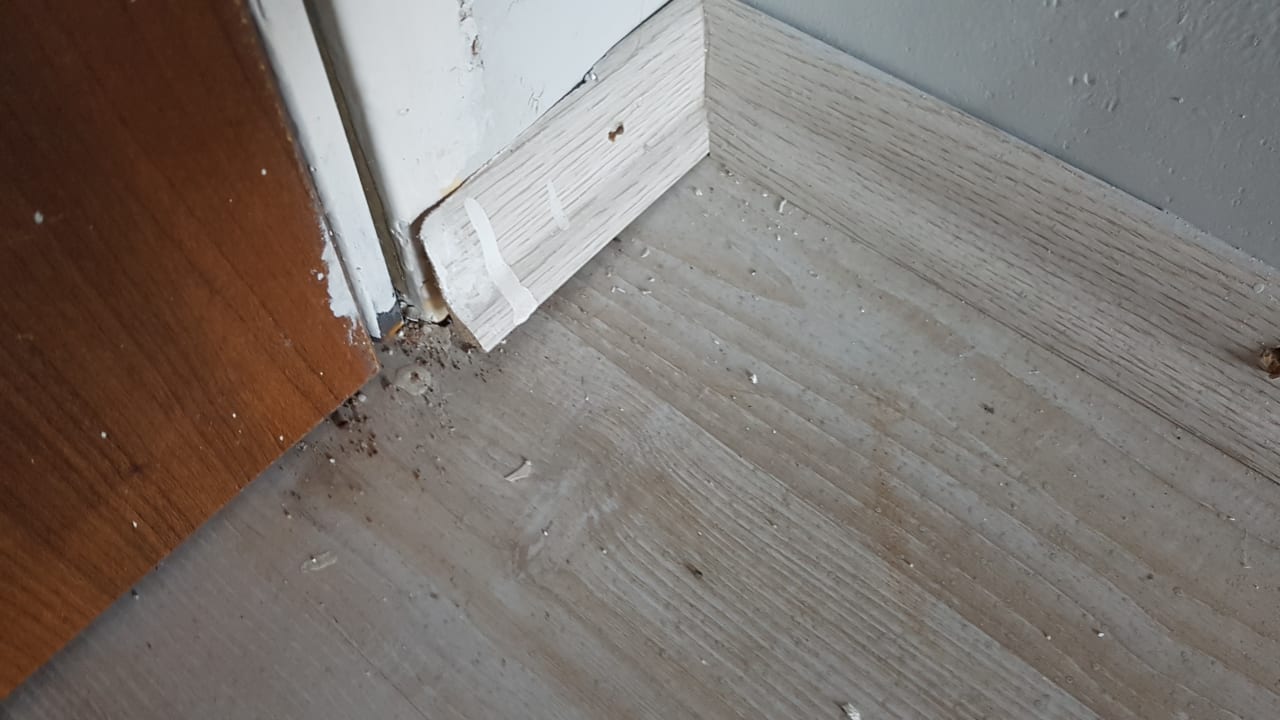 Zimmer Mysea Hotel Alara