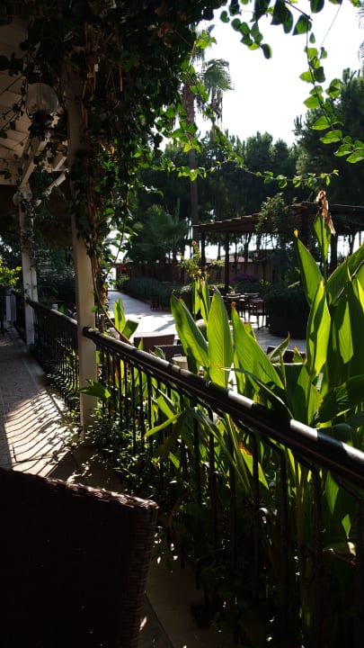 Gartenanlage Club Turtas Beach Hotel