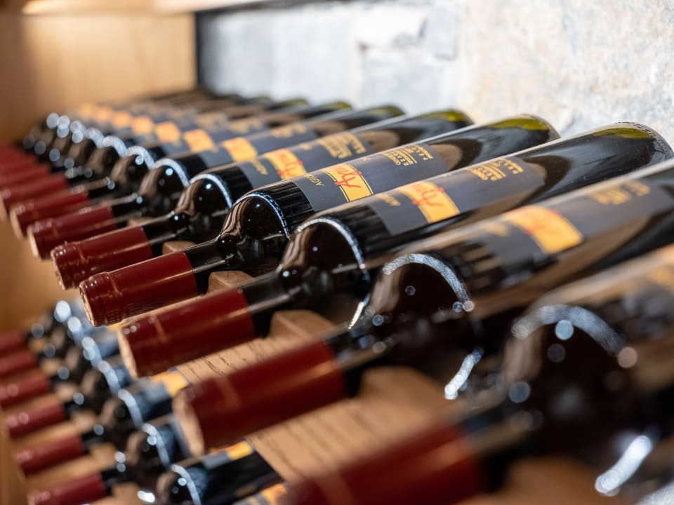 Gastro Nana Golden Beach