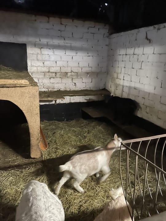 Sport & Freizeit Ferienhof Röhling