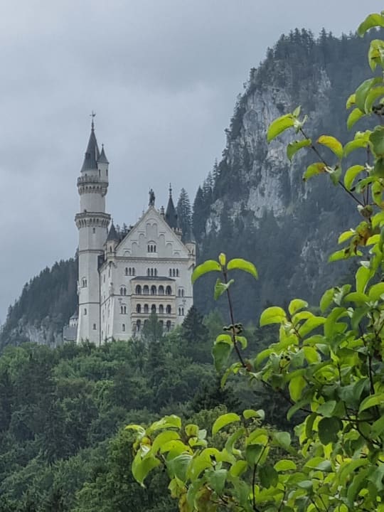 Ausblick AMERON Neuschwanstein Alpsee Resort & Spa