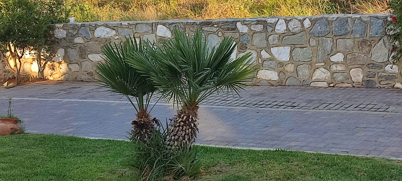 Sonstiges Alea Hotel & Suites