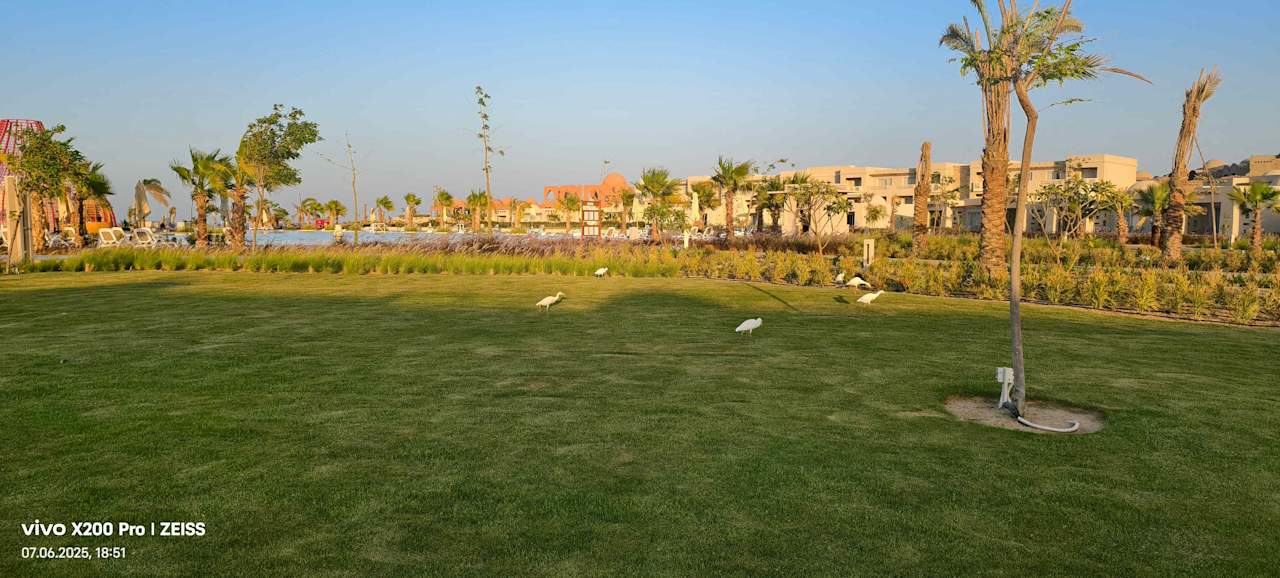 Gartenanlage Sentido Reef Oasis Suakin
