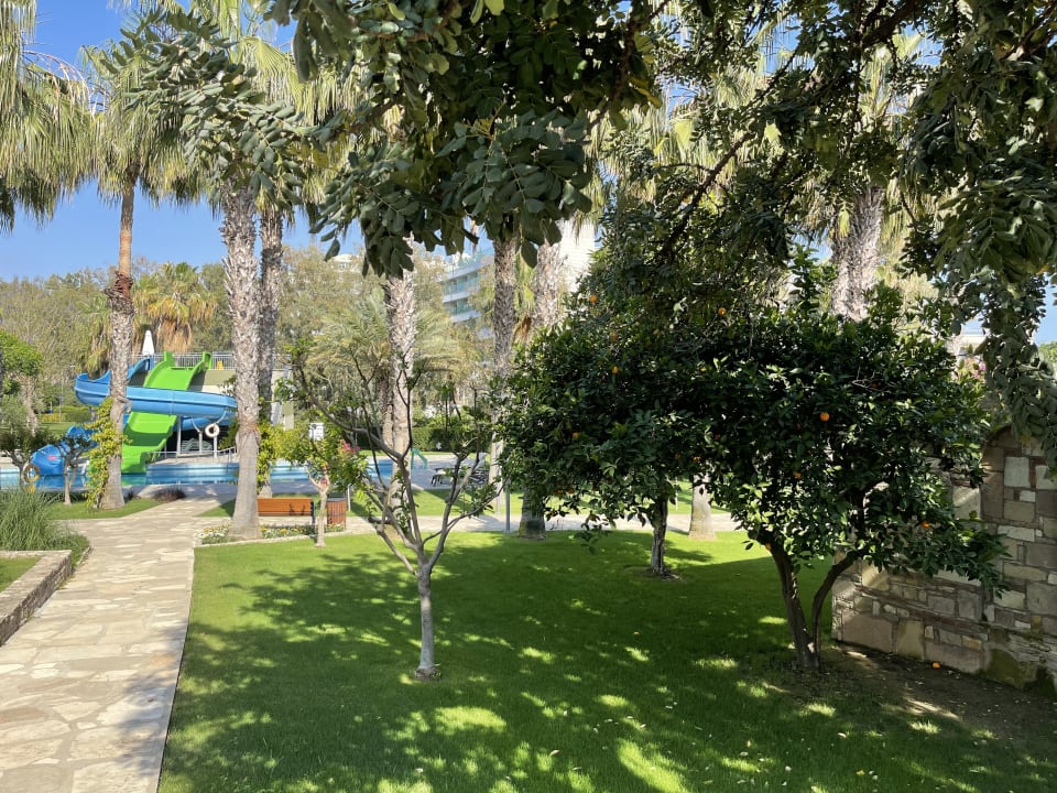 Gartenanlage Arum Barut Collection