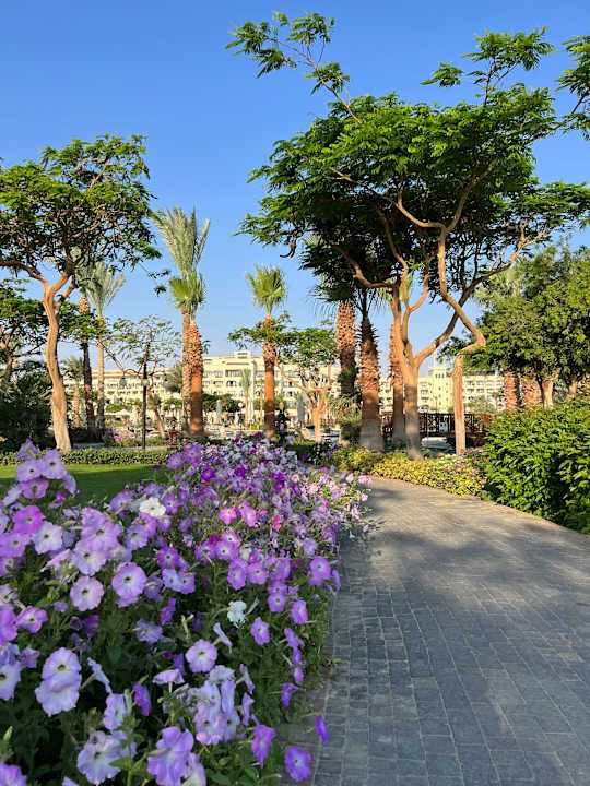 Gartenanlage Steigenberger ALDAU Beach Hotel