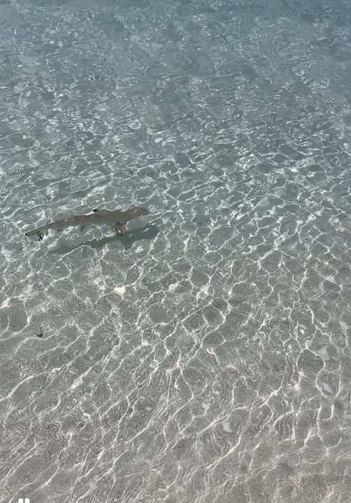 Strand Jawakara Islands Maldives