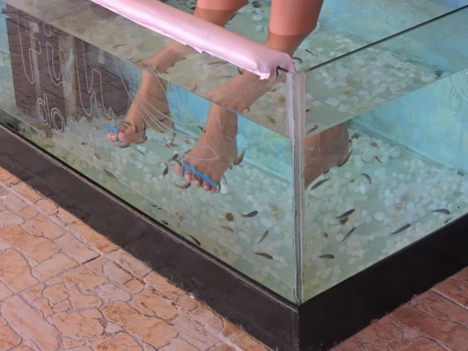 Fish doctor - polecam Pickalbatros Alf Leila Wa Leila Resort - Neverland Hurghada