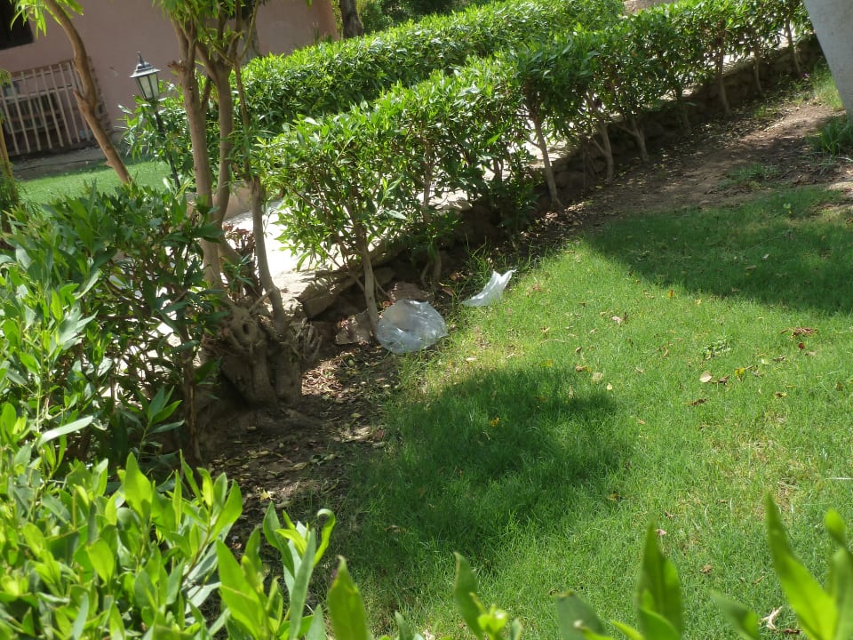 Gartenanlage Eagles Paradise Abu Soma