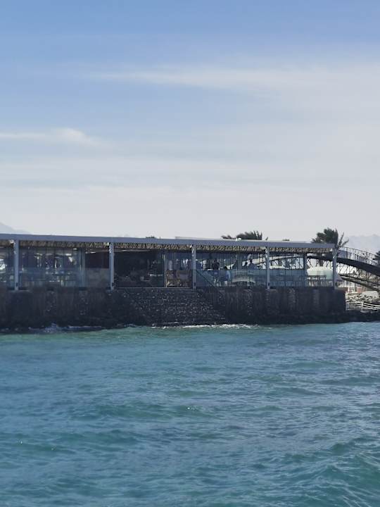 Sonstiges Desert Rose