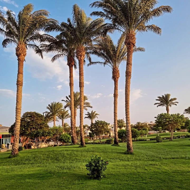 Außenansicht Hurghada Long Beach Resort