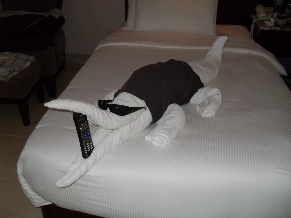 Wilde Tiere im Zimmer Shams Prestige Abu Soma-Adults Only