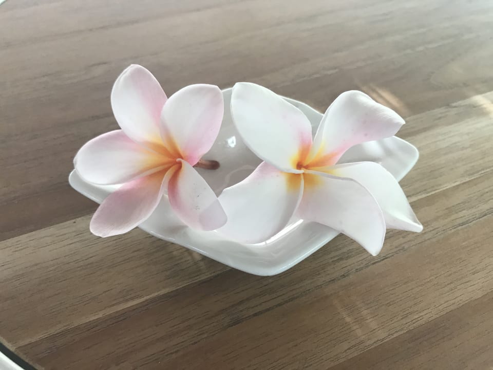 Sonstiges Kuramathi Maldives