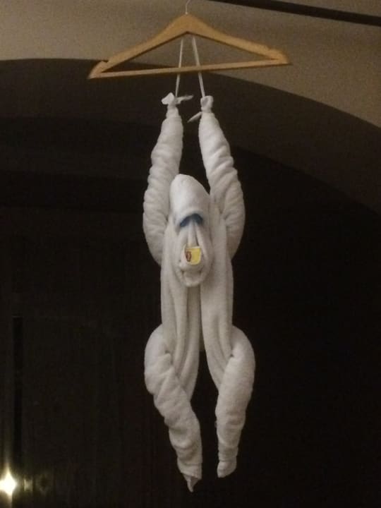 Wer hat einen Affen im Zimmer?  Jaz Makadi Oasis Resort