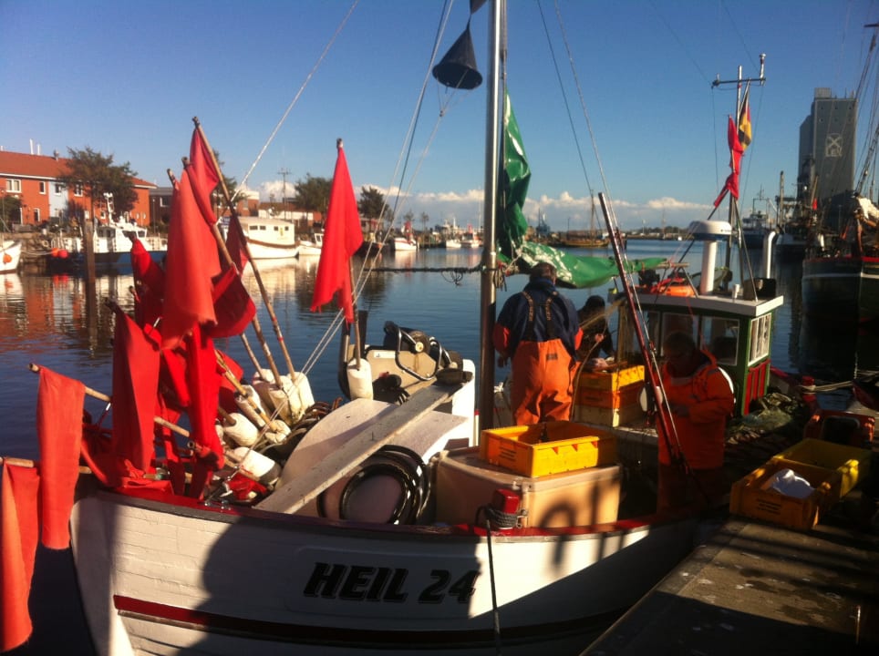 Sport & Freizeit Ferienwohnungen Heiligenhafen Kemper's Apart