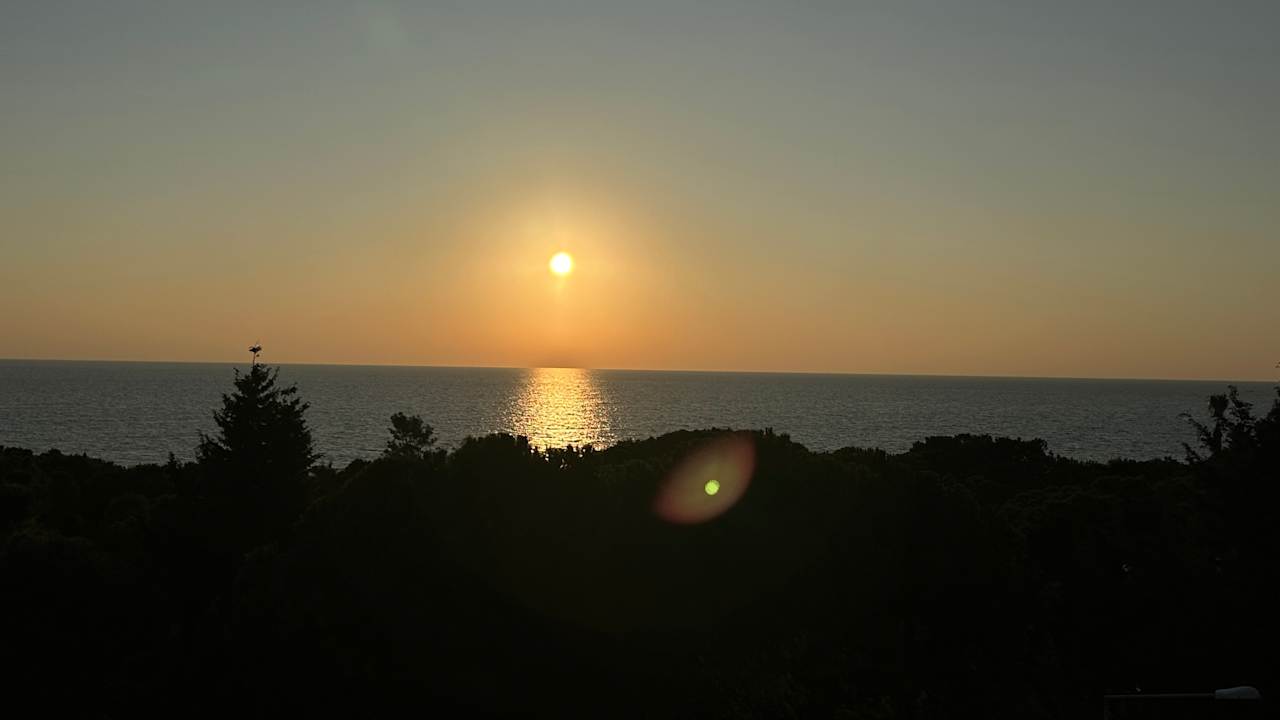 Ausblick Gardenia Hotel