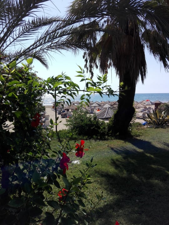 Gartenanlage Hotel Defne Garden