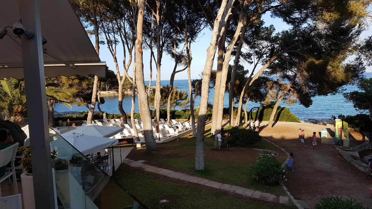 Gartenanlage Iberostar Waves Pinos Park