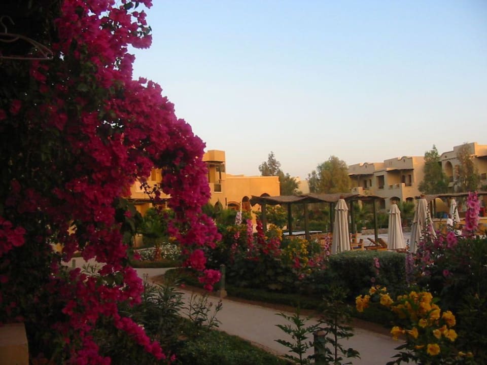 Teil der Hotelanlage mit sehr schöner Bepflanzung Three Corners Rihana Resort Deluxe