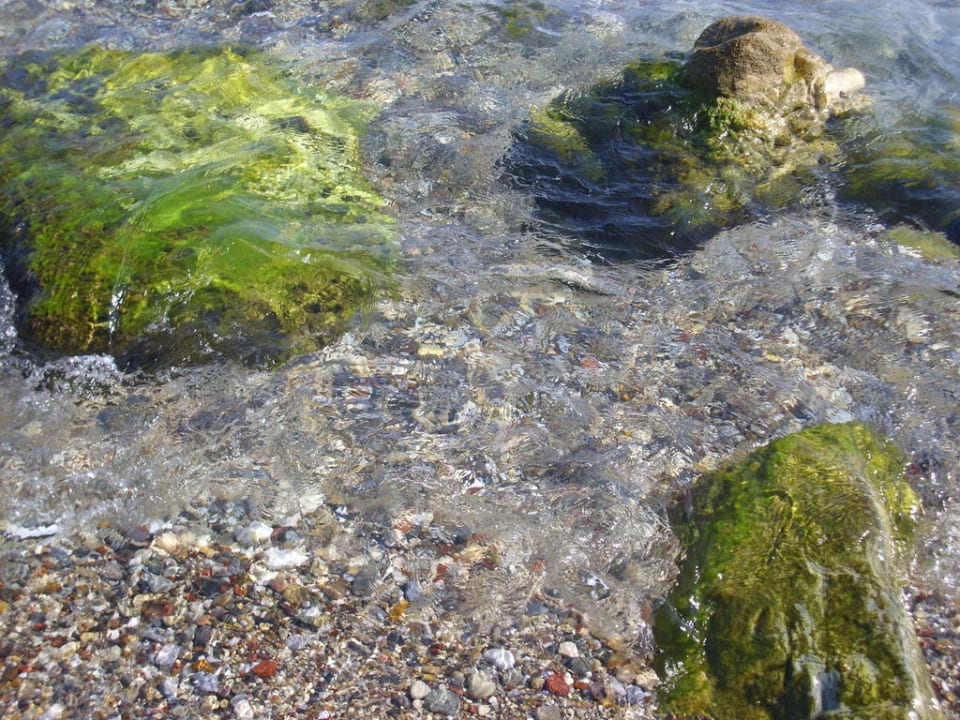 Meer Mitsis Summer Palace