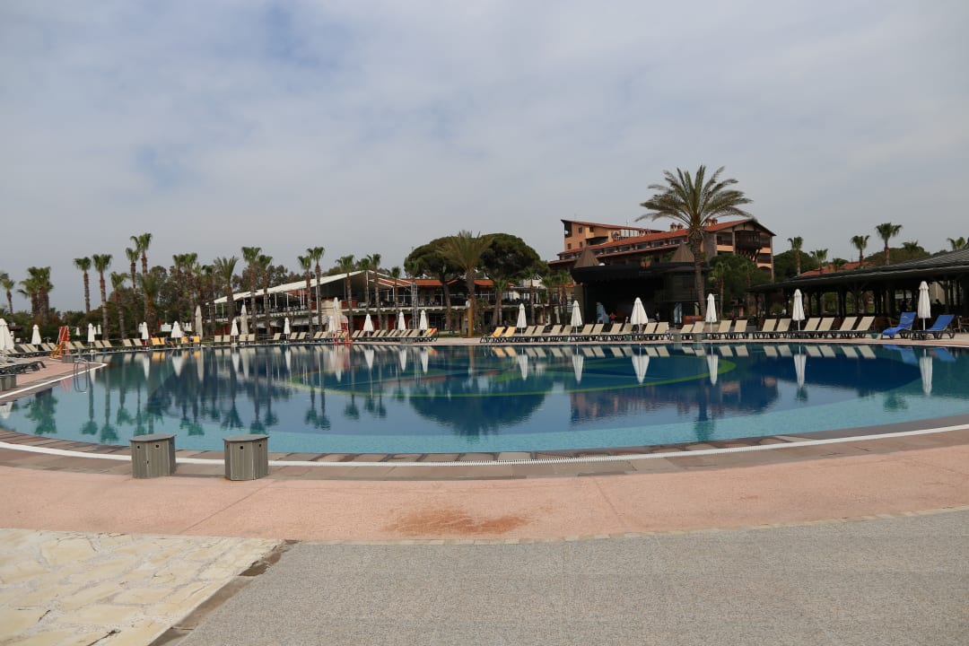 Pool Papillon Belvil
