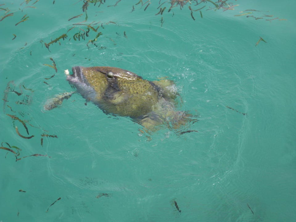 Океан Adaaran Select Hudhuran Fushi - Premium All Inclusive