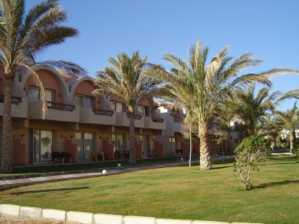 Teren hotelu Three Corners Sea Beach Resort