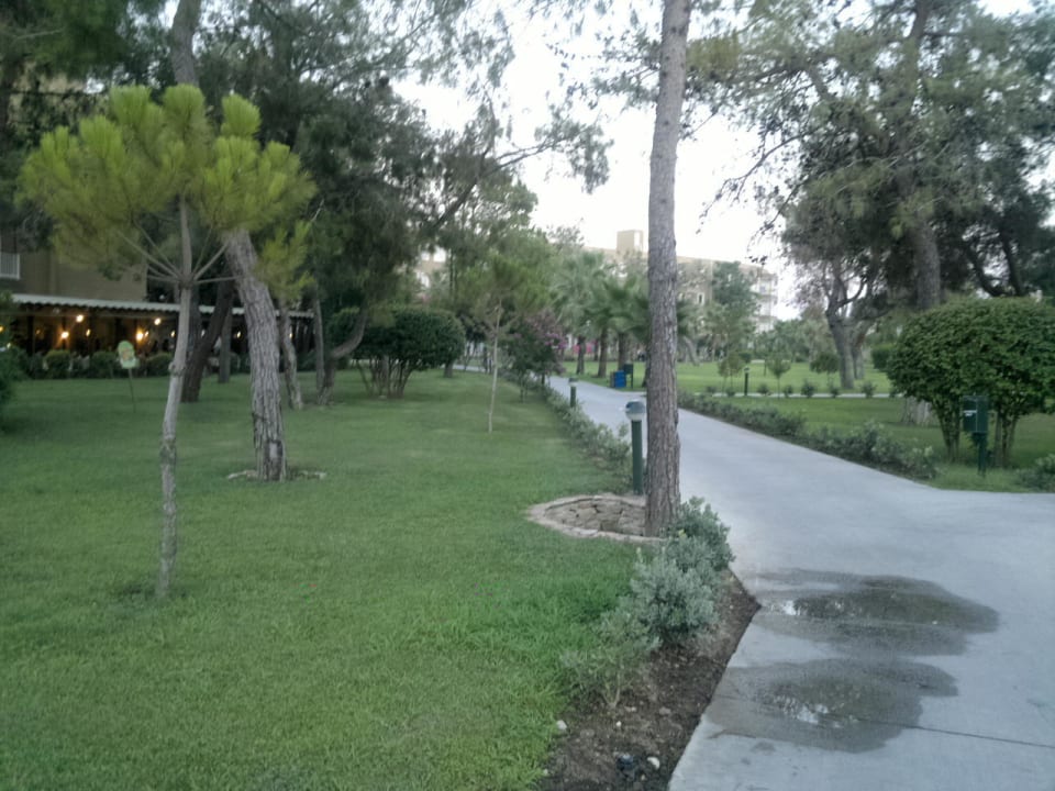 Ogród Marvida Family Eco