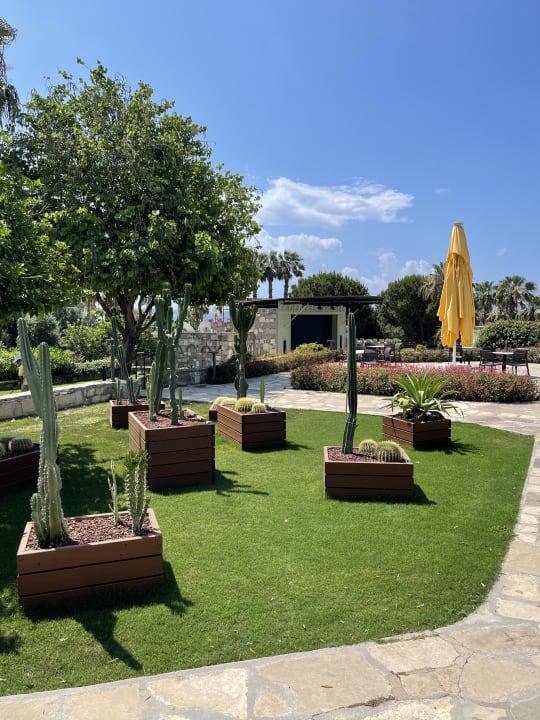 Gartenanlage Arum Barut Collection