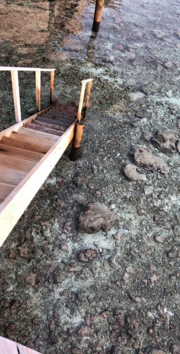 Strand Centara Ras Fushi Resort & Spa Maldives