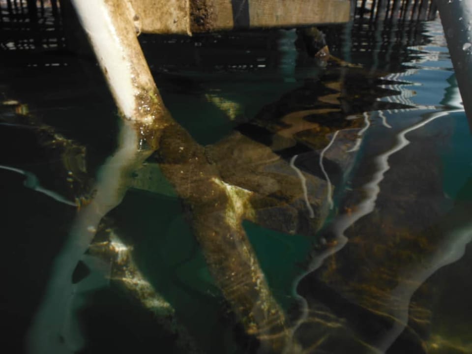 Plaża pomost molo Royal Seginus