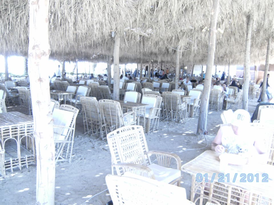 Strandrestaurant Utopia Beach Club