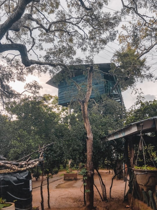 Außenansicht Hotel Bentota Village