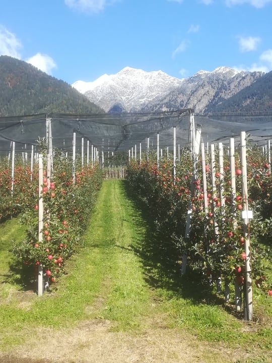 Ausblick Hotel Golserhof