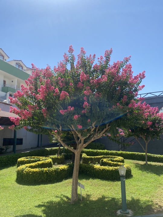 Gartenanlage Grand Seker Hotel