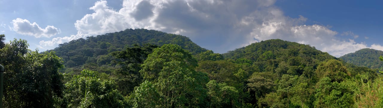 Ausblick Gorilla Valley Lodge