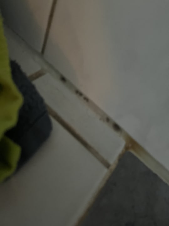 Zimmer Hotel Hollmann