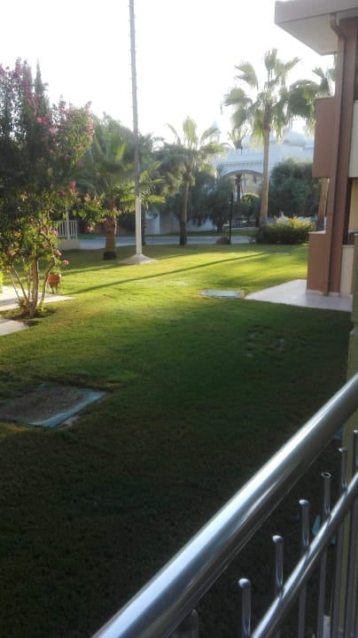 Ausblick Kamelya Aishen Club