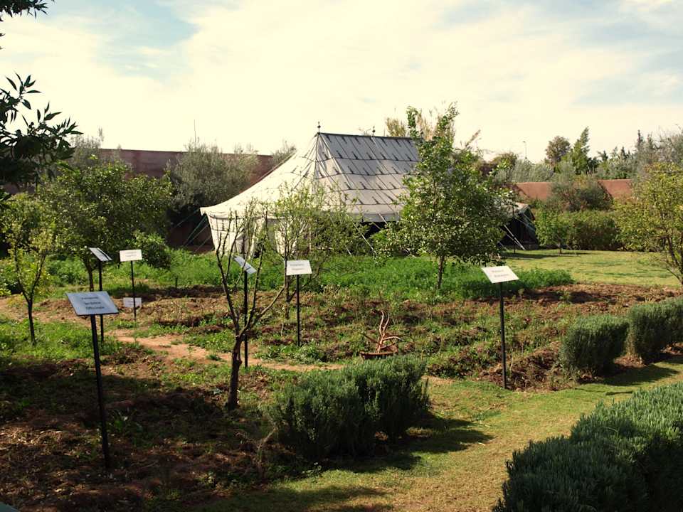 Kräuterbeete Hotel Kenzi Club Agdal Medina