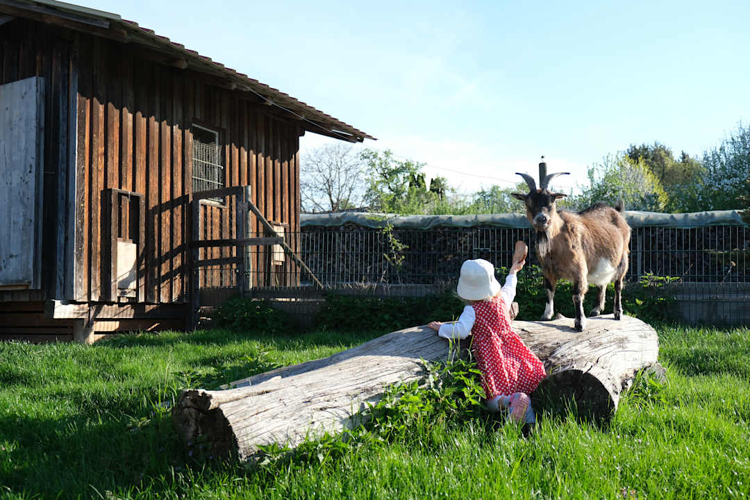 Sport & Freizeit Ferienhof Schwehr