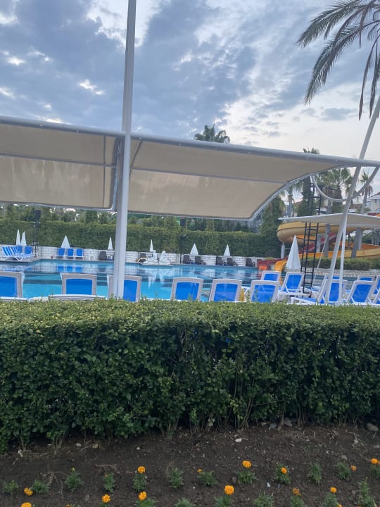 Pool Sealife Buket Resort & Beach