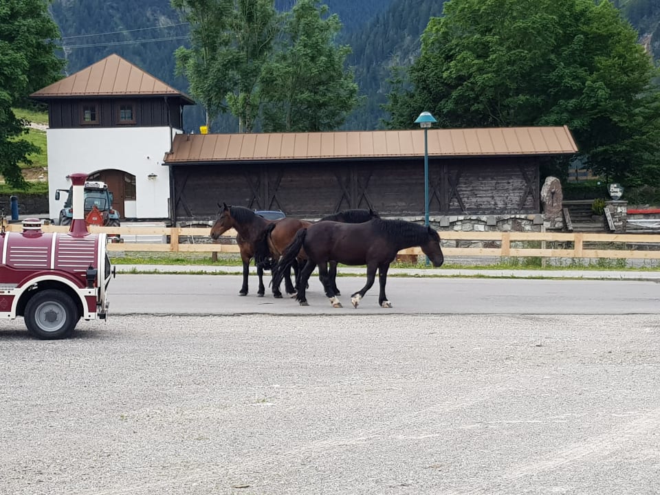 Ausblick Hotel Sonnenhof