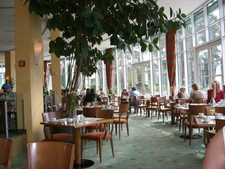 Restaurant mit Ausblick zum Park Precise Resort Bad Saarow am Scharmützelsee