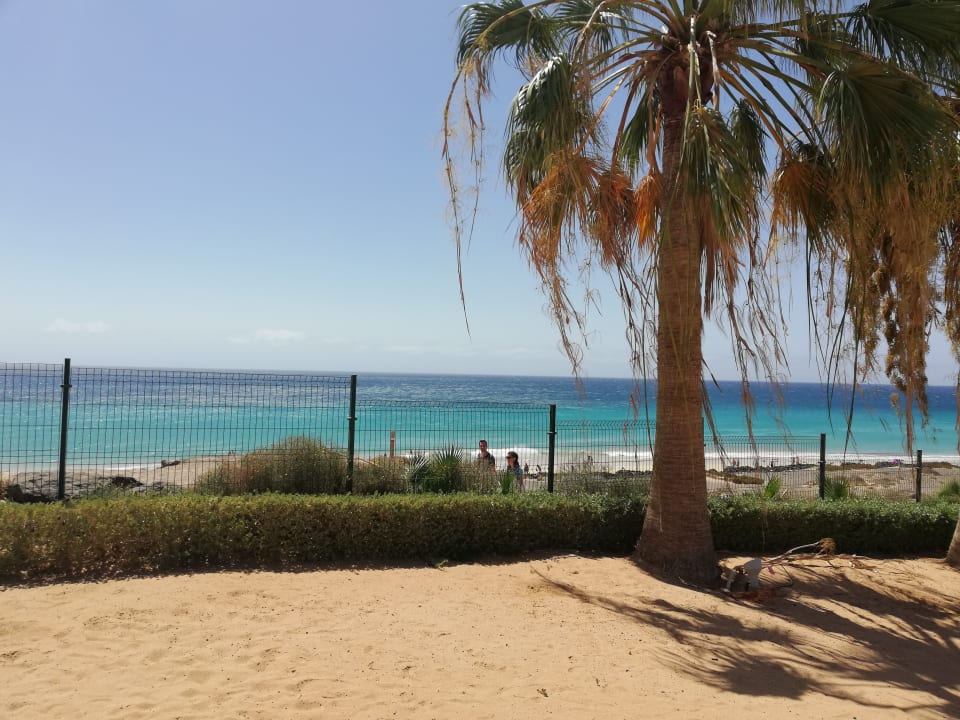 Ausblick Fuerteventura Princess