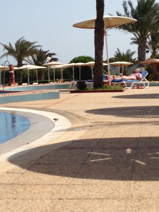 Vogeltränke Hotel El Mouradi Palm Marina