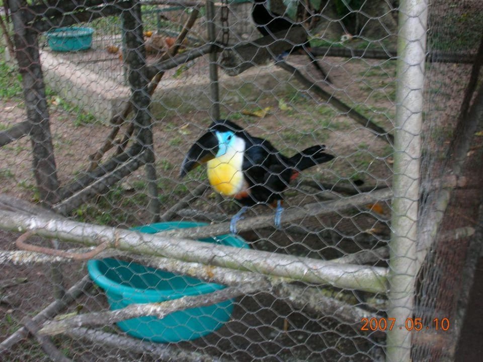 Tukan Hotel Hacienda San Andres