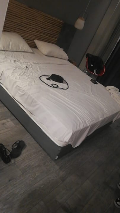 Zimmer White Dreams Resort & Anex