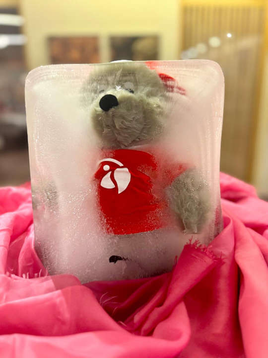 Gastro ROBINSON QUINTA DA RIA